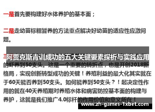 阿贾克斯青训成功的五大关键要素探析与实践应用